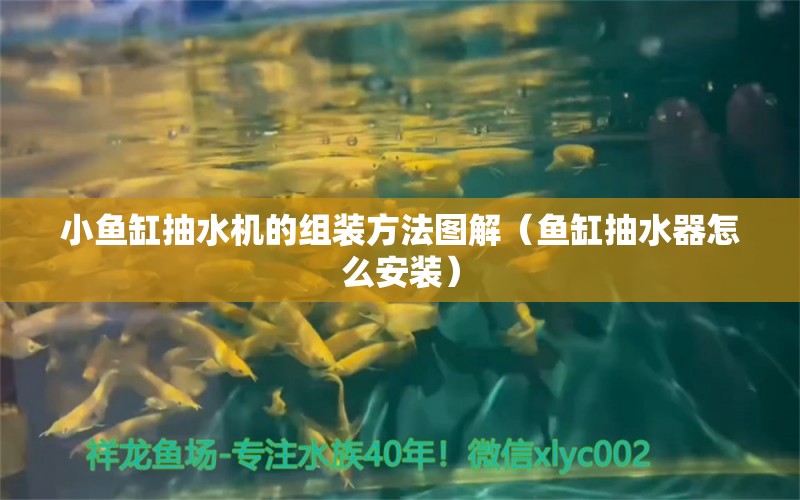 小魚缸抽水機的組裝方法圖解（魚缸抽水器怎么安裝）