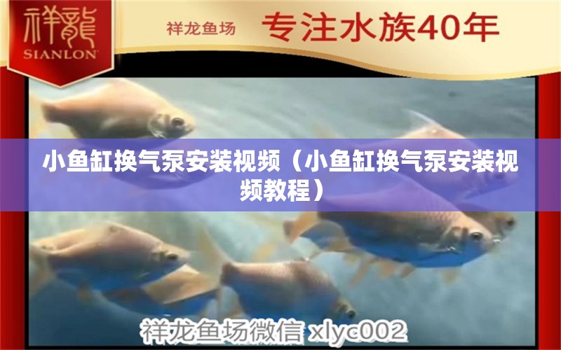 小魚缸換氣泵安裝視頻（小魚缸換氣泵安裝視頻教程）