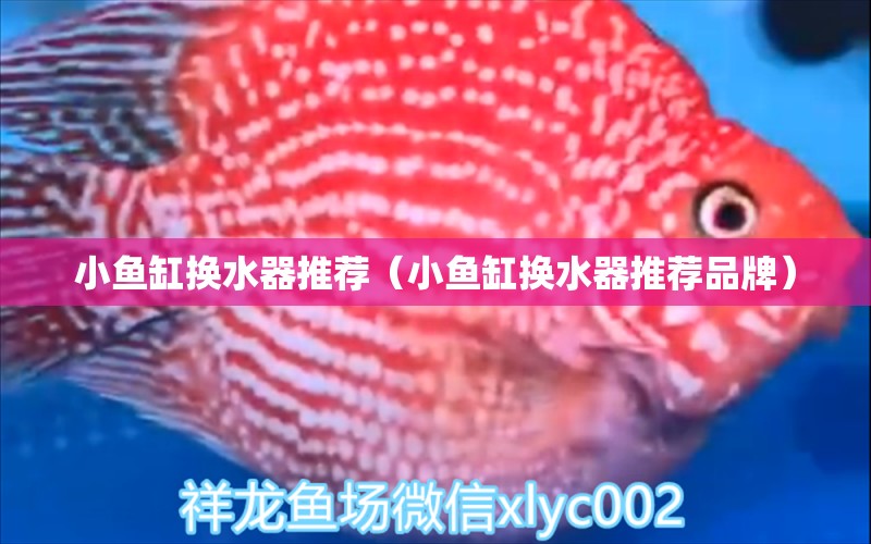 小魚(yú)缸換水器推薦（小魚(yú)缸換水器推薦品牌）