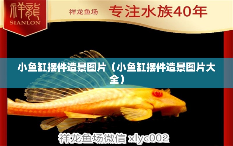 小魚缸擺件造景圖片（小魚缸擺件造景圖片大全） B級過背金龍魚