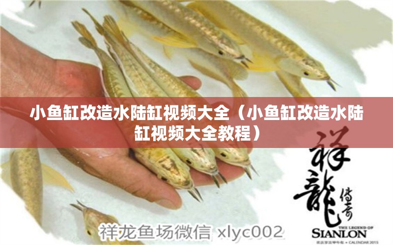 小魚缸改造水陸缸視頻大全（小魚缸改造水陸缸視頻大全教程）