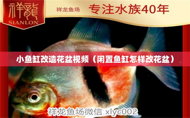 小魚缸改造花盆視頻（閑置魚缸怎樣改花盆）