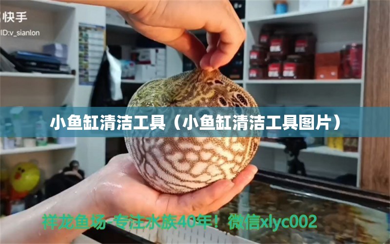 小魚(yú)缸清潔工具（小魚(yú)缸清潔工具圖片） 觀賞魚(yú)市場(chǎng)（混養(yǎng)魚(yú)）