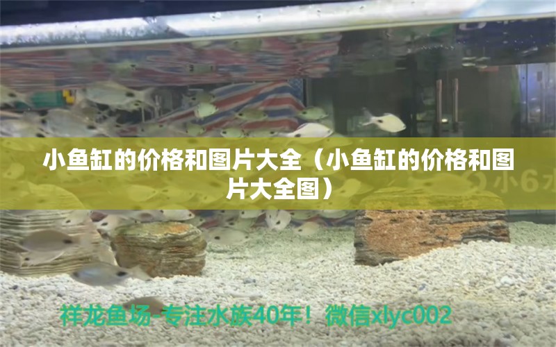 小魚(yú)缸的價(jià)格和圖片大全（小魚(yú)缸的價(jià)格和圖片大全圖） 馬拉莫寶石魚(yú)