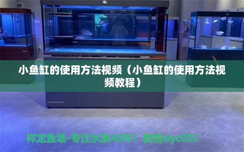 小魚缸的使用方法視頻（小魚缸的使用方法視頻教程） 祥龍水族護理水