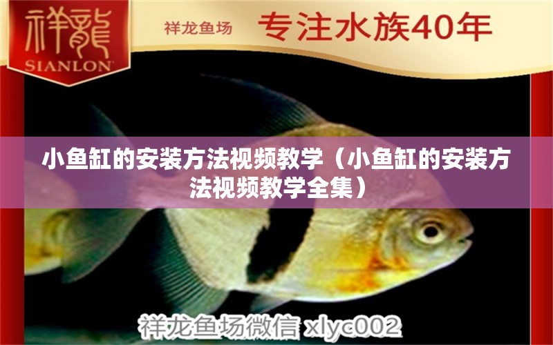 小魚缸的安裝方法視頻教學（小魚缸的安裝方法視頻教學全集）