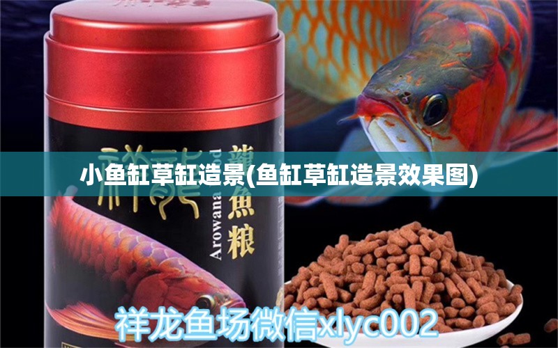 小魚(yú)缸草缸造景(魚(yú)缸草缸造景效果圖) 招財(cái)戰(zhàn)船魚(yú)