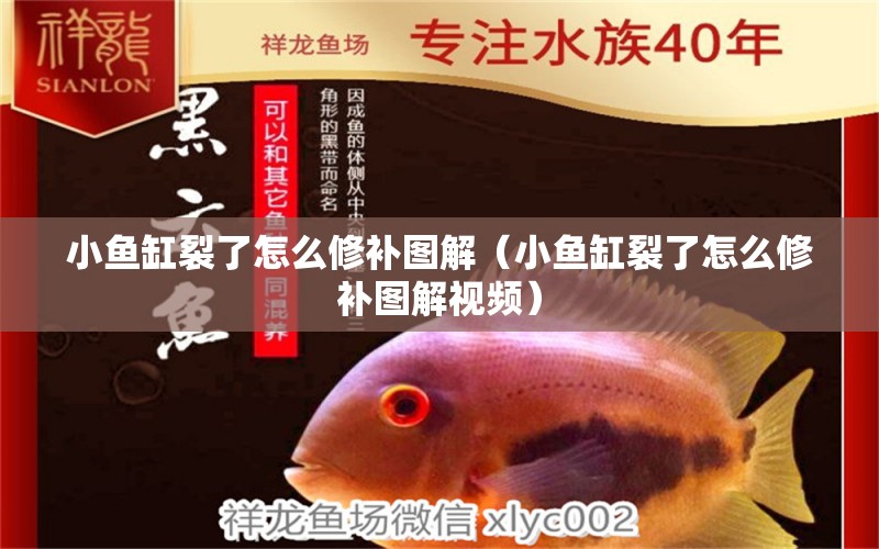 小魚(yú)缸裂了怎么修補(bǔ)圖解（小魚(yú)缸裂了怎么修補(bǔ)圖解視頻）