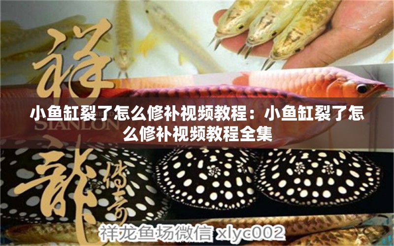 小魚(yú)缸裂了怎么修補(bǔ)視頻教程：小魚(yú)缸裂了怎么修補(bǔ)視頻教程全集