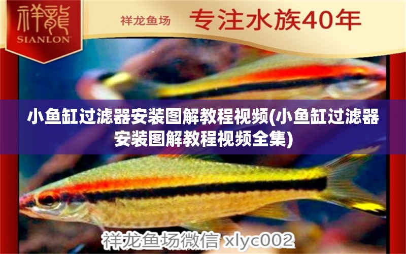 小魚(yú)缸過(guò)濾器安裝圖解教程視頻(小魚(yú)缸過(guò)濾器安裝圖解教程視頻全集) 祥龍魚(yú)場(chǎng)品牌產(chǎn)品