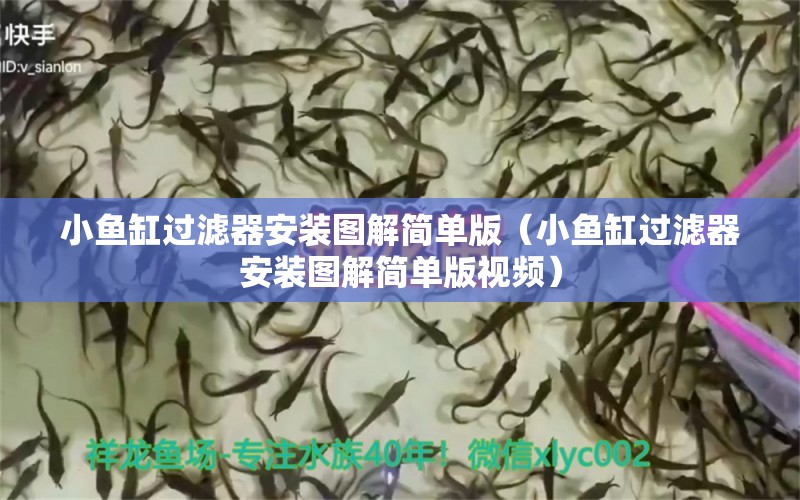 小魚缸過濾器安裝圖解簡單版（小魚缸過濾器安裝圖解簡單版視頻）