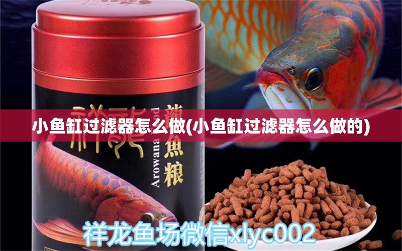 小魚(yú)缸過(guò)濾器怎么做(小魚(yú)缸過(guò)濾器怎么做的)