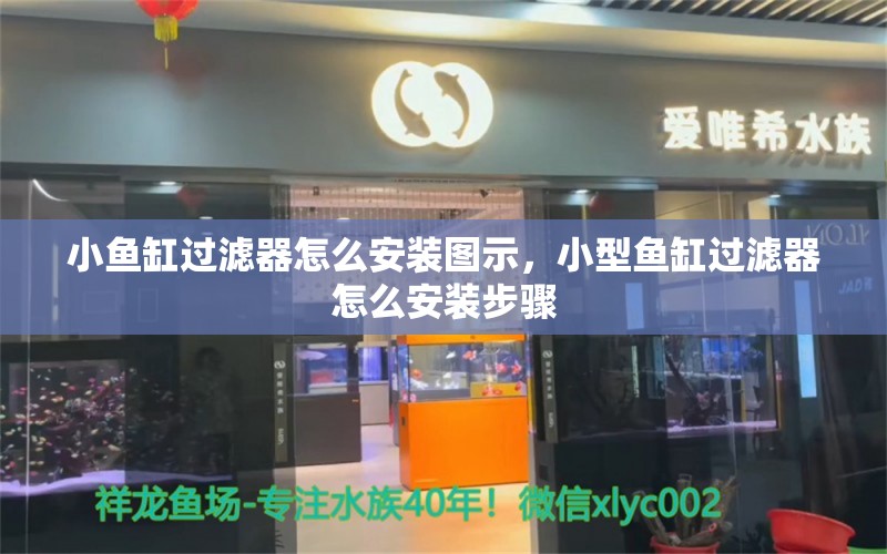 小魚缸過濾器怎么安裝圖示，小型魚缸過濾器怎么安裝步驟 七紋巨鯉魚