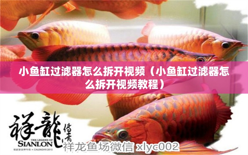 小魚缸過濾器怎么拆開視頻（小魚缸過濾器怎么拆開視頻教程） 其他品牌魚缸