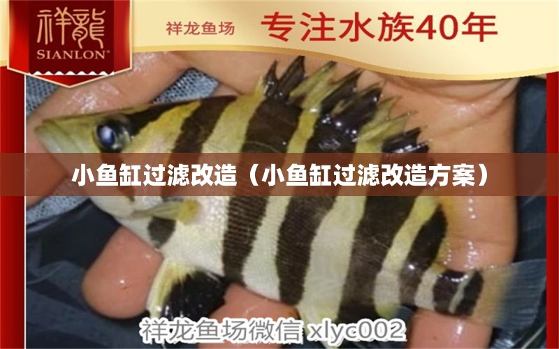 小魚缸過濾改造（小魚缸過濾改造方案） 祥龍水族醫(yī)院