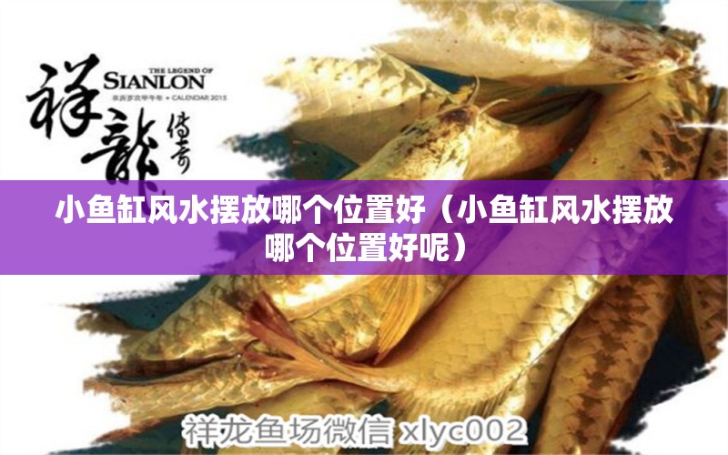 小魚(yú)缸風(fēng)水?dāng)[放哪個(gè)位置好（小魚(yú)缸風(fēng)水?dāng)[放哪個(gè)位置好呢） 魚(yú)缸風(fēng)水