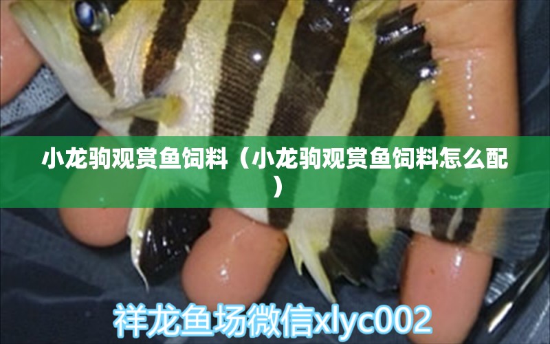 小龍駒觀賞魚(yú)飼料（小龍駒觀賞魚(yú)飼料怎么配）