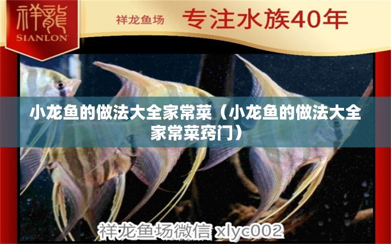 小龍魚的做法大全家常菜（小龍魚的做法大全家常菜竅門）