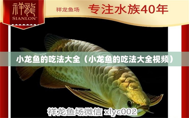 小龍魚的吃法大全（小龍魚的吃法大全視頻） 祥龍水族醫(yī)院