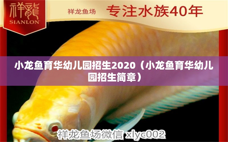 小龍魚育華幼兒園招生2020（小龍魚育華幼兒園招生簡(jiǎn)章）