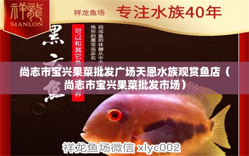 尚志市寶興果菜批發(fā)廣場天恩水族觀賞魚店（尚志市寶興果菜批發(fā)市場）