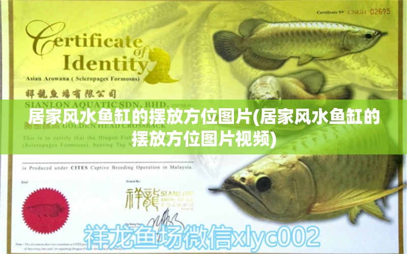 居家風(fēng)水魚缸的擺放方位圖片(居家風(fēng)水魚缸的擺放方位圖片視頻) 魚缸風(fēng)水