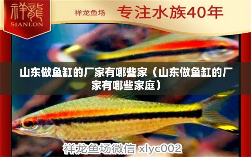 山東做魚缸的廠家有哪些家（山東做魚缸的廠家有哪些家庭）