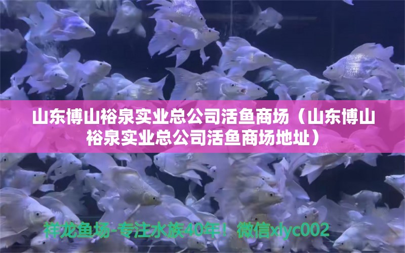 山東博山裕泉實(shí)業(yè)總公司活魚(yú)商場(chǎng)（山東博山裕泉實(shí)業(yè)總公司活魚(yú)商場(chǎng)地址） 全國(guó)水族館企業(yè)名錄