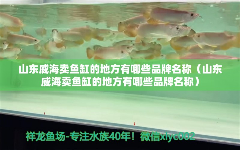 山東威海賣魚缸的地方有哪些品牌名稱（山東威海賣魚缸的地方有哪些品牌名稱）