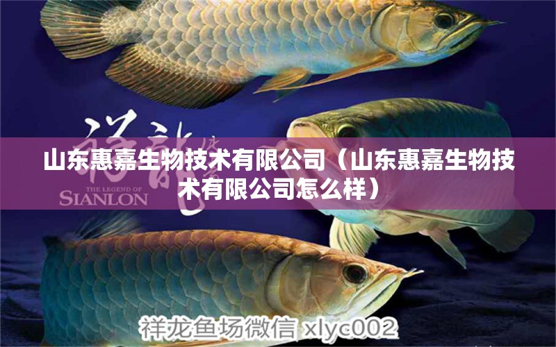 山東惠嘉生物技術(shù)有限公司（山東惠嘉生物技術(shù)有限公司怎么樣）