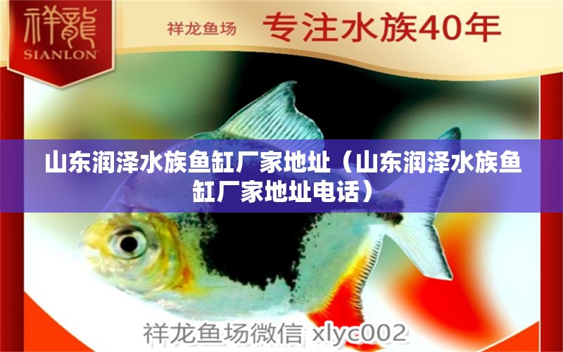 山東潤澤水族魚缸廠家地址（山東潤澤水族魚缸廠家地址電話）