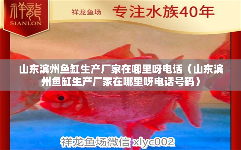 山東濱州魚缸生產(chǎn)廠家在哪里呀電話（山東濱州魚缸生產(chǎn)廠家在哪里呀電話號碼）