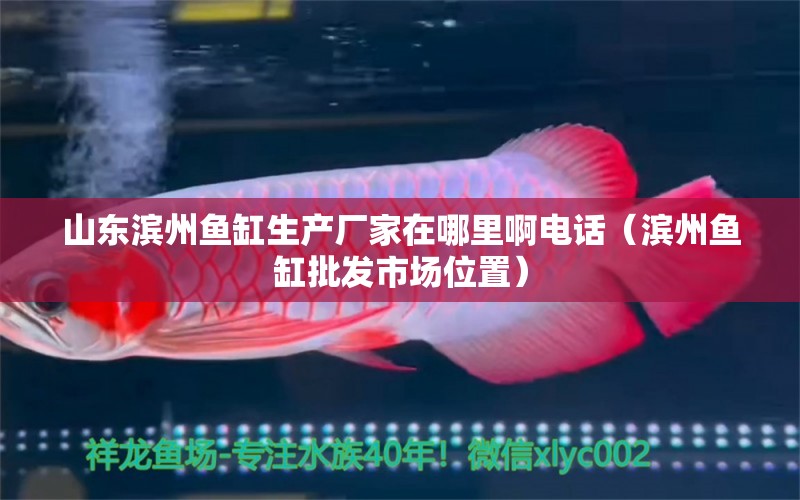 山東濱州魚(yú)缸生產(chǎn)廠家在哪里啊電話（濱州魚(yú)缸批發(fā)市場(chǎng)位置） 潛水泵