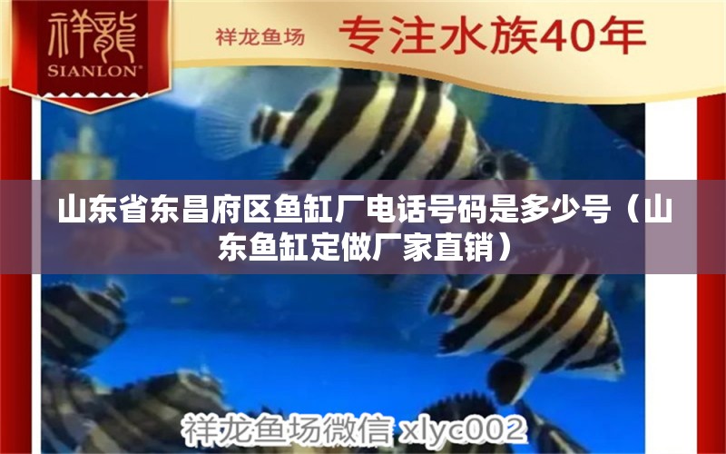 山東省東昌府區(qū)魚缸廠電話號碼是多少號（山東魚缸定做廠家直銷）