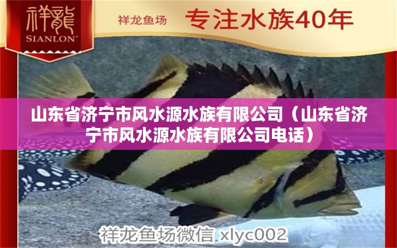 山東省濟寧市風水源水族有限公司（山東省濟寧市風水源水族有限公司電話）