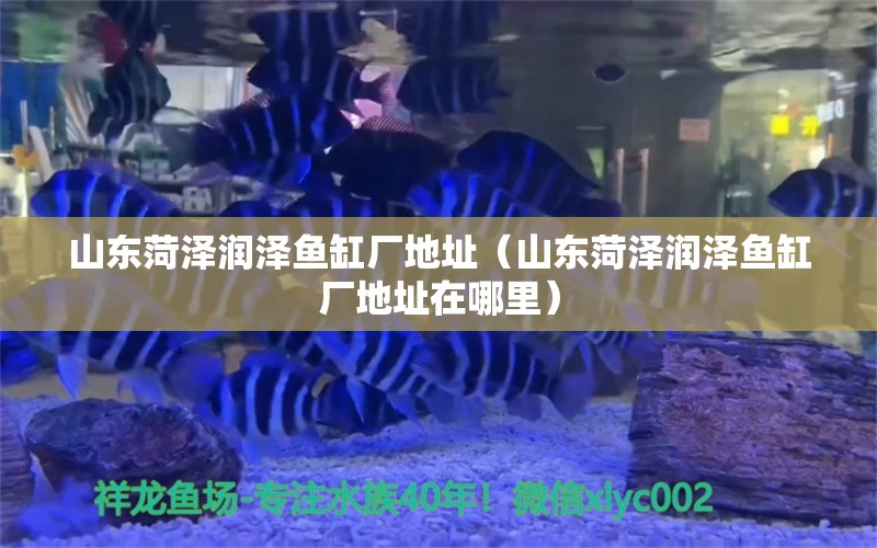 山東菏澤潤澤魚缸廠地址（山東菏澤潤澤魚缸廠地址在哪里）