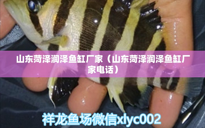 山東菏澤潤澤魚缸廠家（山東菏澤潤澤魚缸廠家電話）