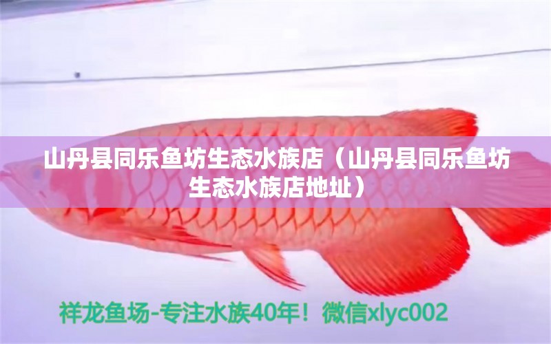 山丹縣同樂魚坊生態(tài)水族店（山丹縣同樂魚坊生態(tài)水族店地址）