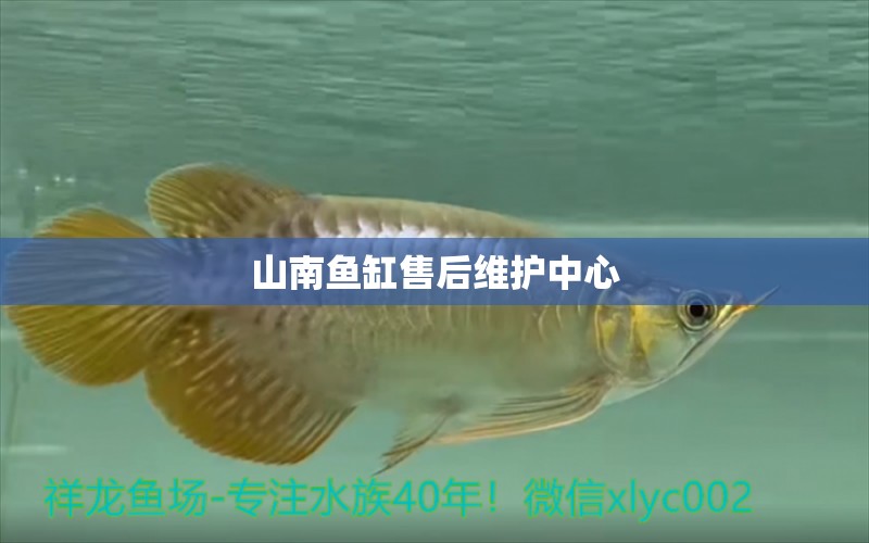 山南魚缸售后維護中心