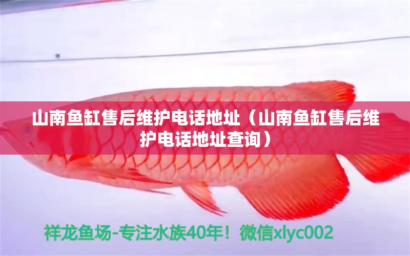 山南魚缸售后維護電話地址（山南魚缸售后維護電話地址查詢）