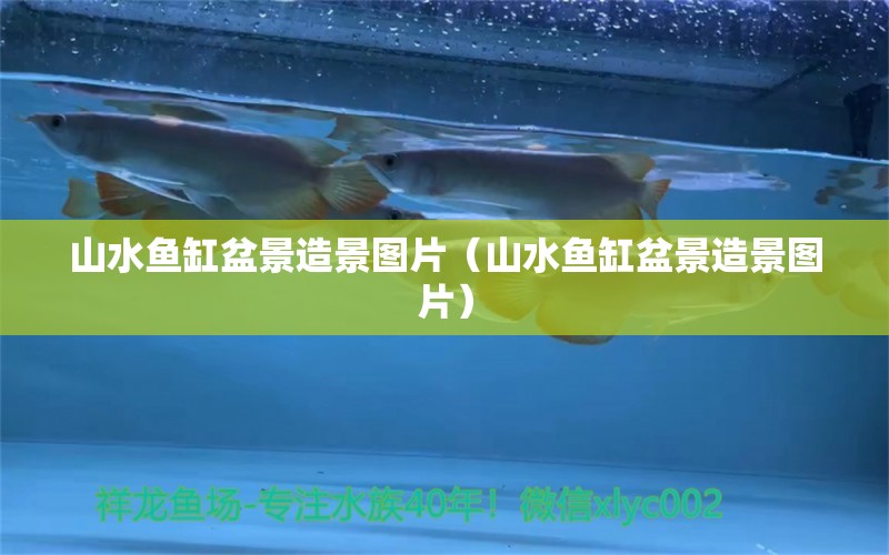 山水魚缸盆景造景圖片（山水魚缸盆景造景圖片）