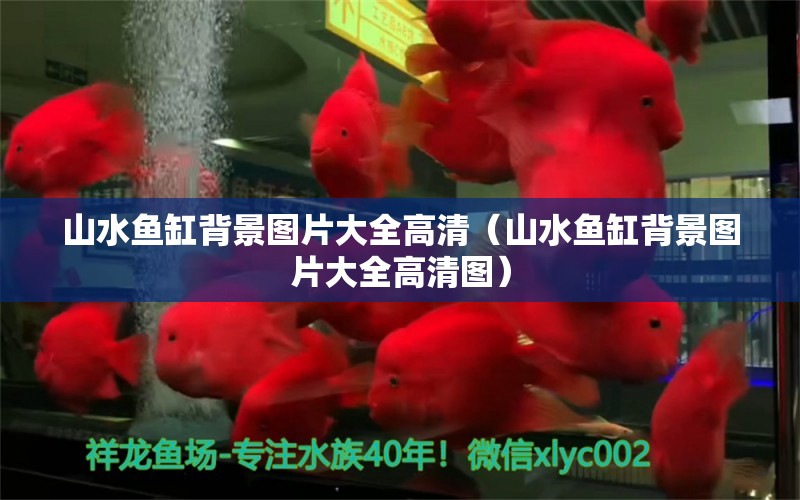 山水魚缸背景圖片大全高清（山水魚缸背景圖片大全高清圖） 慈雕魚