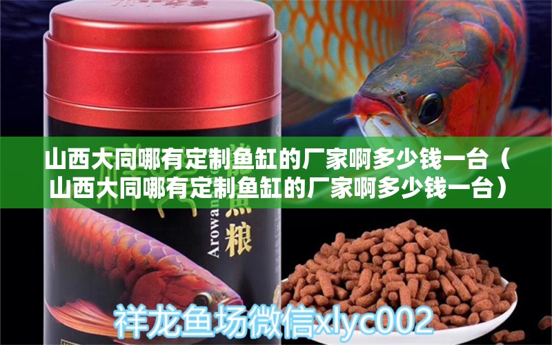 山西大同哪有定制魚(yú)缸的廠家啊多少錢一臺(tái)（山西大同哪有定制魚(yú)缸的廠家啊多少錢一臺(tái)） 白子黃化銀龍魚(yú)