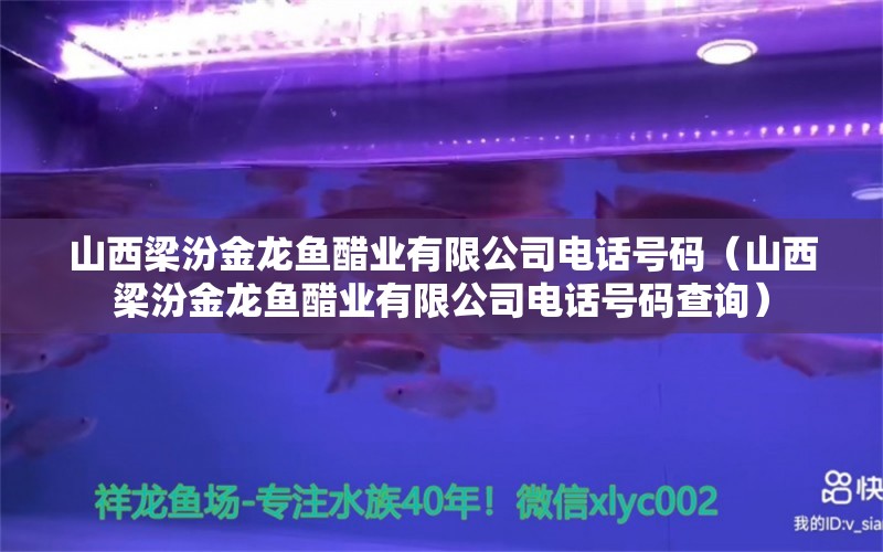 山西梁汾金龍魚醋業(yè)有限公司電話號碼（山西梁汾金龍魚醋業(yè)有限公司電話號碼查詢）