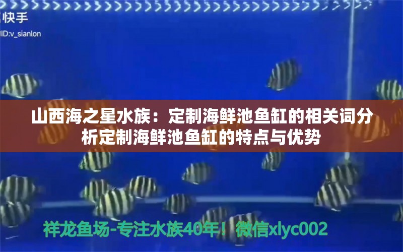 山西海之星水族：定制海鮮池魚缸的相關(guān)詞分析定制海鮮池魚缸的特點與優(yōu)勢