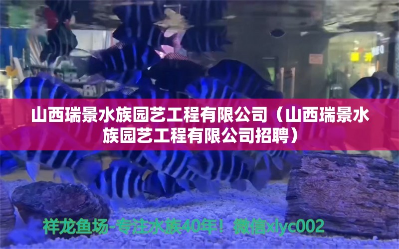 山西瑞景水族園藝工程有限公司（山西瑞景水族園藝工程有限公司招聘） 全國(guó)水族館企業(yè)名錄