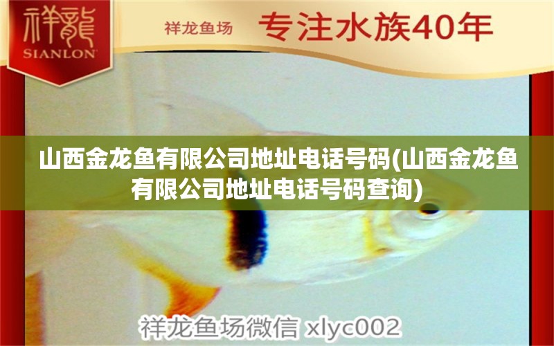 山西金龍魚有限公司地址電話號(hào)碼(山西金龍魚有限公司地址電話號(hào)碼查詢) 黃鰭鯧魚