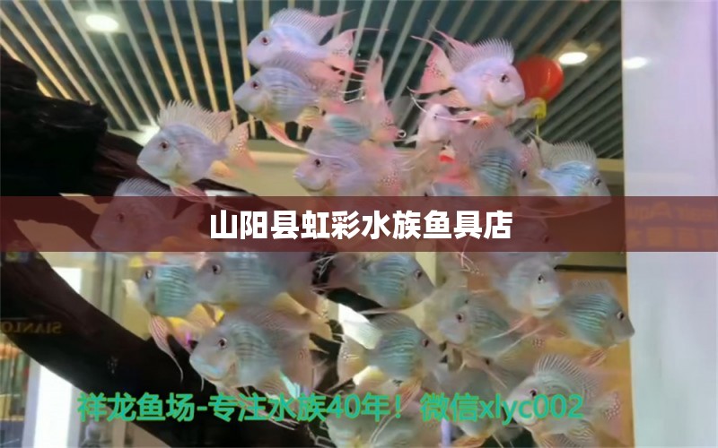 山陽縣虹彩水族魚具店