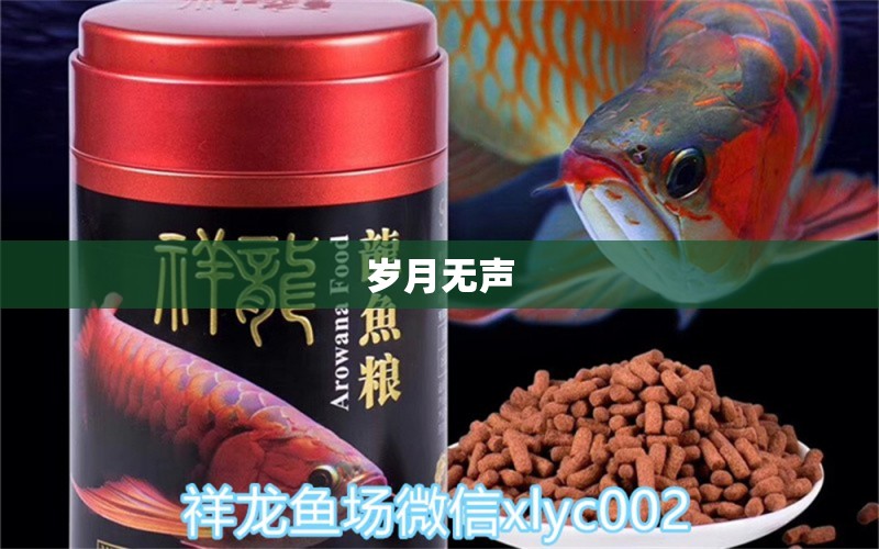 歲月無聲 觀賞魚論壇 第2張