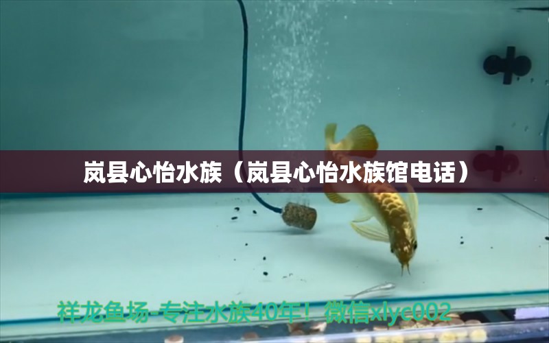 嵐縣心怡水族（嵐縣心怡水族館電話）